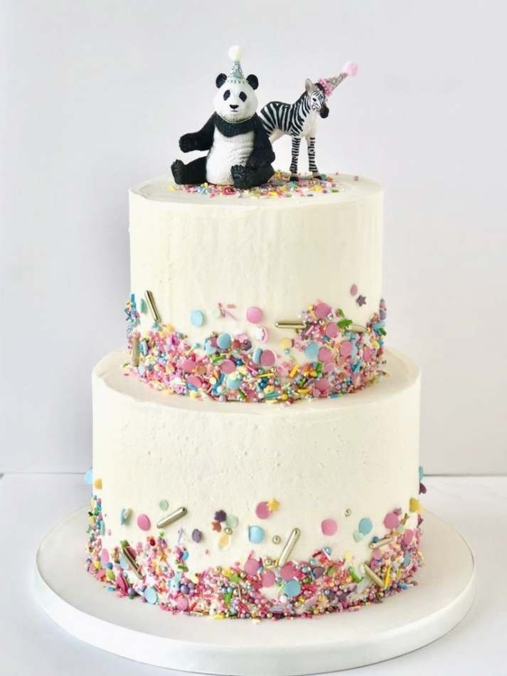 Party Animal Confetti Cake | Birthdays