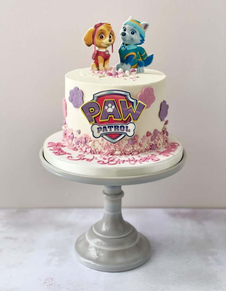 Paw Patrol: The Movie Liberty Rubble Chase Skye Marshall Zuma Rocky Edible  Cake Topper Image ABPID54630 