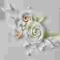 923D9Fdc Dbfa 489C A833 7E246E173265