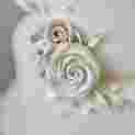 Ab910Ecd 2Ea1 4F9E B9Cd D5042B53492D