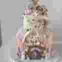 39053D94 F128 45E1 A675 2903A8602F81