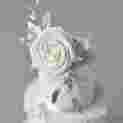 Photo 2025 02 04 19 29 27