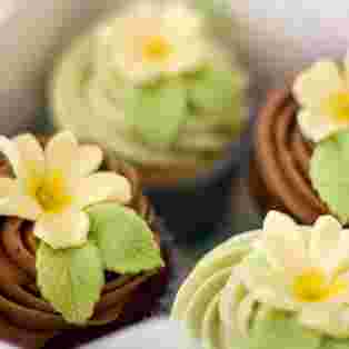 primroses-sq-liggys cakes